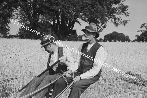 HARVESTING WHEAT